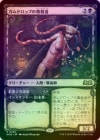 ��FOIL�ۡ����ۥ���ɥ��åפ��ǻ���/Gumdrop Poisoner[��R]��WOE��[���硼��������]