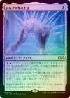 ��FOIL�ۡ����ۥҥ�����ߤβ���/Hylda's Crown of Winter[̵��R]��WOE��