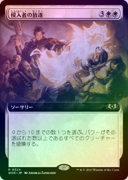 ��FOIL�ۡ����ۿ����Ԥ�����/Expel the Interlopers[��R]��WOE��[��ĥ������]