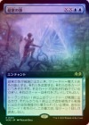 ��FOIL�ۡ�����Ķ���ι/Extraordinary Journey[��R]��WOE��[��ĥ������]