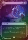 ��FOIL�ۡ������ް�/Oppression[��R]��WOT��