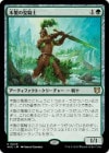 ������������������/Timber Paladin[��R]��WOC��
