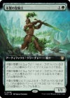 ������������������/Timber Paladin[��R]��WOC��[��ĥ������]