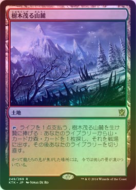 MTG 樹木茂る山麓 Foil 日本語 KTK 1枚 Amazon.co.jp: MTG オンスロート ONS 日本語版 Foil フォイル