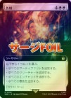 �ڥ�����FOIL�ۡ����۹���/Farewell[��R]��WHO��[��ĥ������]
