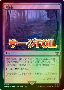 【ご確認用】プレーンシフト foil ドロマーの洞窟 英語 1枚　MTG ドロマーの洞窟/Dromar's Cavern》[PLS] 土地U | 日本最大級 MTG
