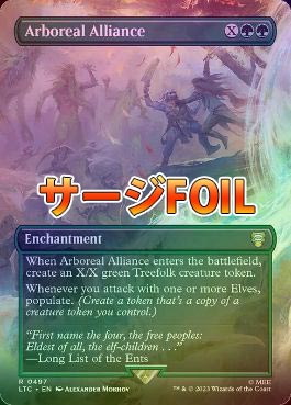 MTG, マジック:ザ・ギャザリング 通販 | ENNDAL GAMES / (FOIL