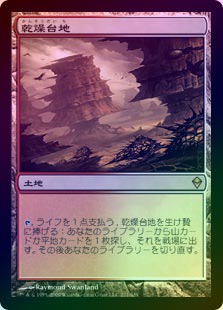 FOIL】【日】乾燥台地/Arid Mesa[土地R]【ZEN】 | モダン以下・特殊