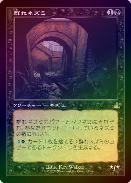 FOIL】【日】群れネズミ/Pack Rat[黒R]【RVR】[旧枠] | モダン以下