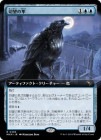 ��������˾��Ȼ/Coveted Falcon[��R]��MKM��[��ĥ������]