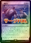 �ڥ�����FOIL�ۡ����۰쵳�Ǥ�/Single Combat[��R]��PIP��
