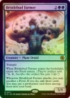 FOILۡڱѡ۵/Bristlebud Farmer[MR]BIG