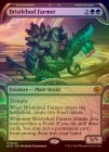 FOILۡڱѡ۵/Bristlebud Farmer[MR]BIG[硼]