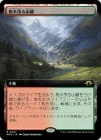 ۼФ뻳ϼ/Wooded Foothills[R]MH3[ĥ]