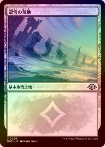 ☆SALE☆【FOIL】【日】冠雪の荒地/Snow-Covered Wastes No.229[土地U