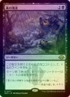 ��FOIL�ۡ������Ǥ���ή/Toxic Deluge[��R]��MH3��