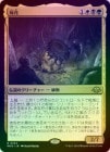 ��FOIL�ۡ����ۻӲ�/The Necrobloom[¿��R]��MH3��