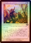 ��FOIL�ۡ����ۻ��ῼ�����Ω��/Charitable Levy[��U]��MH3��[����]
