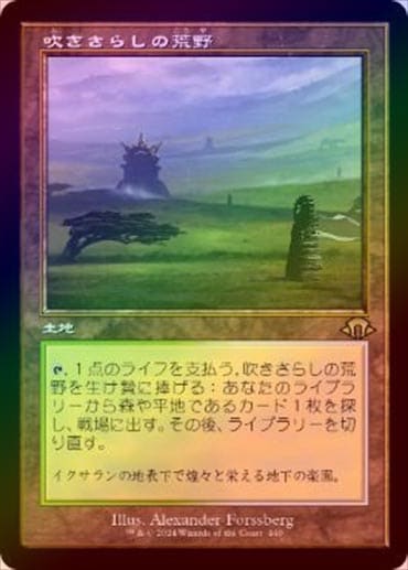 MTG 吹きさらしの荒野 foil FOIL】【日】吹きさらしの荒野/Windswept Heath[土地R]【MH3】[旧枠