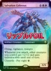 ڥåץFOILۡڱѡ۵ߺѤε/Salvation Colossus[R]M3C[ĥ]