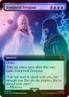 ��FOIL�ۡڱѡۻ��֤ؤο���/Temporal Trespass[��MR]��ACR��[��ĥ������]