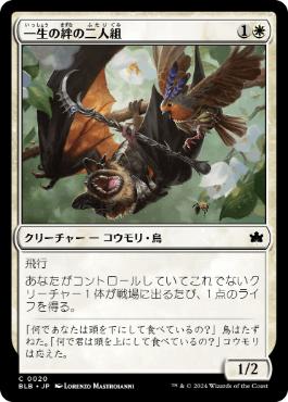 �����۰�����嫤������/Lifecreed Duo[��C]��BLB��