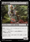 �����ۻ�����άå��/Ravine Raider[��C]��BLB��