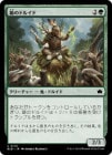 �����۽��Υɥ륤��/Druid of the Spade[��C]��BLB��