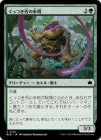 �����ۤ��äĤ�����⾥/Stickytongue Sentinel[��C]��BLB��