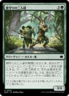 �����ۼ����������/Treeguard Duo[��C]��BLB��