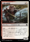 �����۸Ż��θ����/Veteran Guardmouse[¿��C]��BLB��