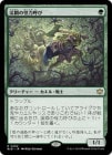 �����۷̴֤β��ϸƤ�/Valley Mightcaller[��R]��BLB��