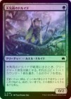 ��FOIL�ۡ�����ŷ�����Υɥ륤��/Sunshower Druid[��C]��BLB��