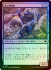 ��FOIL�ۡ������Ӥ��¸���/Pond Prophet[¿��C]��BLB��