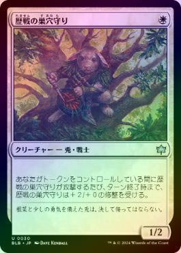 ��FOIL�ۡ���������������/Seasoned Warrenguard[��U]��BLB��