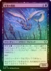 ��FOIL�ۡ��������ʤ���η/Starscape Cleric[��U]��BLB��