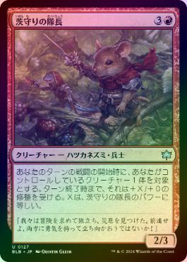 ��FOIL�ۡ����۰������Ĺ/Brambleguard Captain[��U]��BLB��