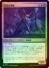 ��FOIL�ۡ�����������Ƴ��/Starseer Mentor[¿��U]��BLB��