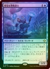 ��FOIL�ۡ����۱����ʹ���ƻ��/Dour Port-Mage[��R]��BLB��