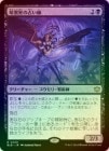 FOILۡ۰Źꤤ/Darkstar Augur[R]BLB