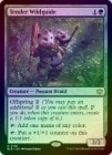 FOILۡڱѡ۹̺⸶Ƴ/Tender Wildguide[R]BLB