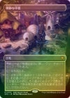 FOILۡ۴Ť/Secluded Courtyard[MR]SPG-BLB