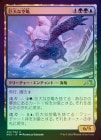 òʡEXFOILۡ۵ʶ/Colossal Skyturtle[¿U]NEO