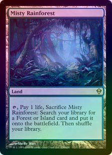 Amazon.co.jp: MTG 《霧深い雨林/Misty Rainforest》foil EXP