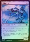 ��FOIL�ۡ����۶�°������/Frogmite[̵��C]��MM2��
