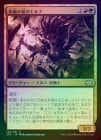 òʡEXFOILۡ۷ԤȱΥ/Bloodbraid Elf[¿U]2X2