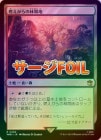 òʡEXڥFOILۡǳӴ/Cinder Glade[R]WHO