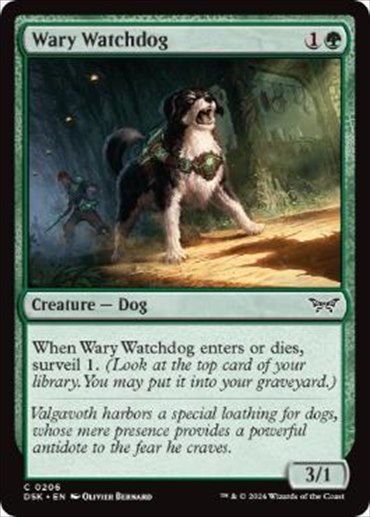 �ڱѡ��ѿ������ָ�/Wary Watchdog[��C]��DSK��