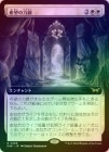 FOILۡ۴˾/Leyline of Hope[R]DSK[ĥ]