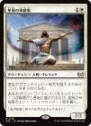 ο/Starfield Mystic[R]DSC